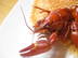 Local Crayfish